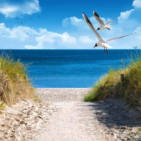 2 House B 129 * Großenbrode